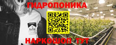 марихуана Кингисепп