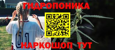 марихуана Кингисепп
