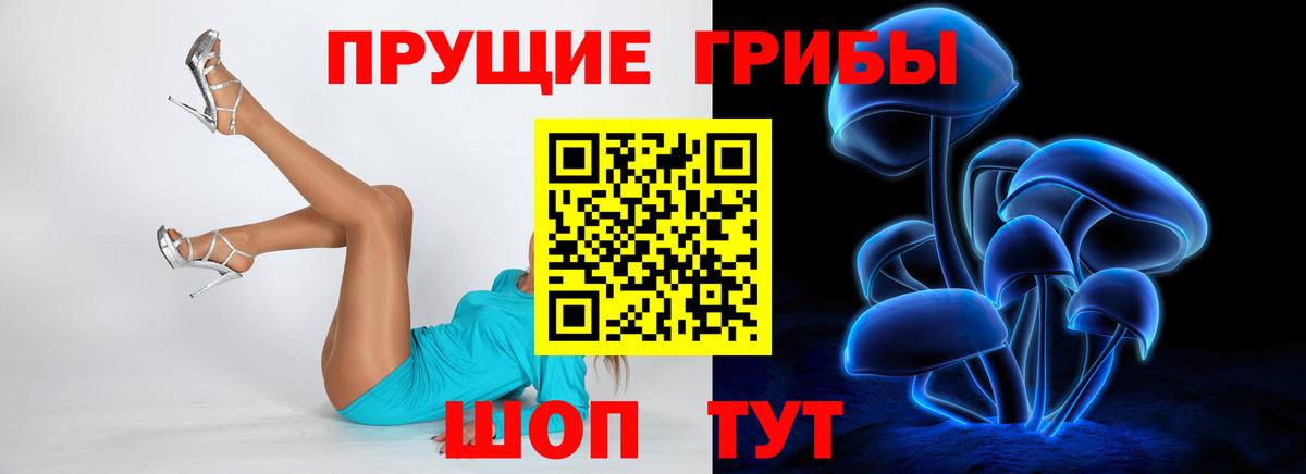 Благовещенск  Псилоцибиновые грибы Psilocybe  Вход с VPN 